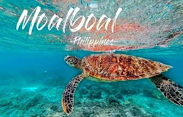 Hotell Bgs Place Moalboal